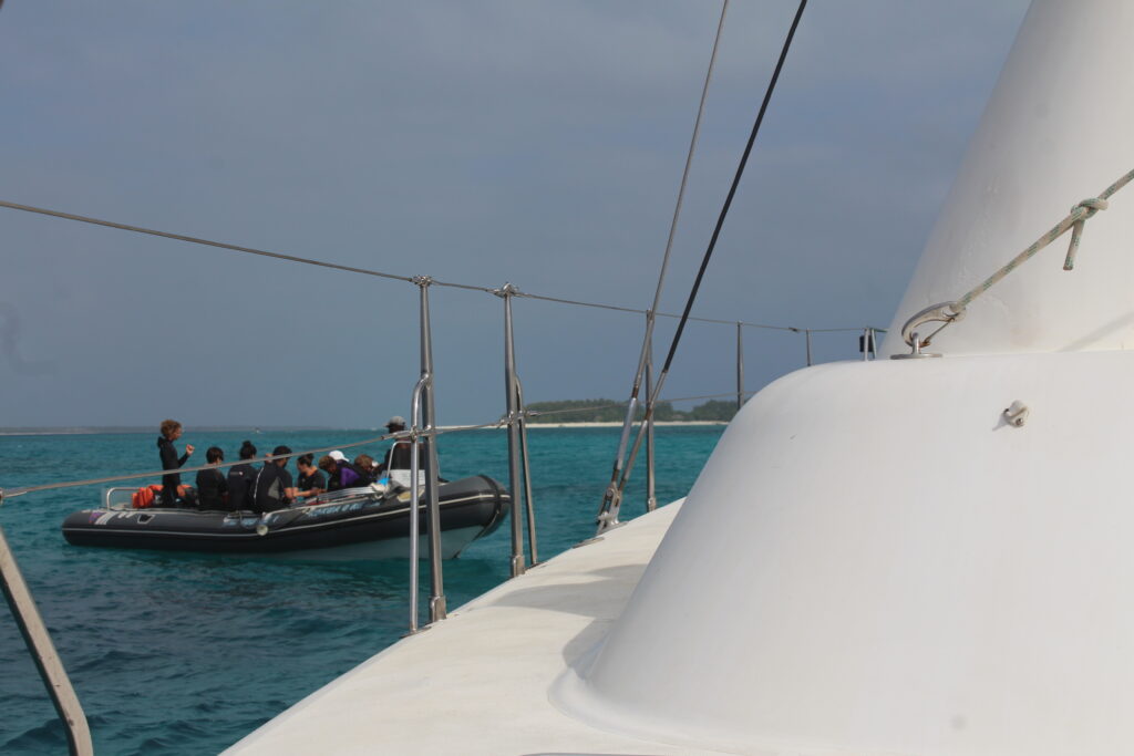 Diving & Live Aboard in Pemba