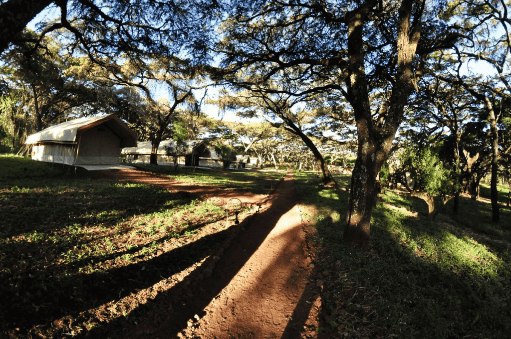 Parcs nationaux et hébergement Tanzanie et Kenya