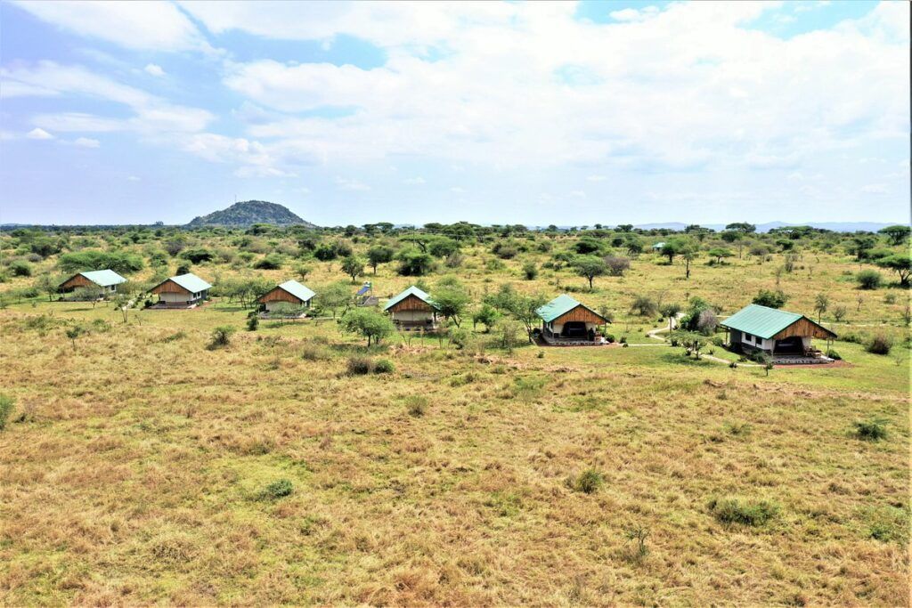 Parcs nationaux et hébergement Tanzanie et Kenya